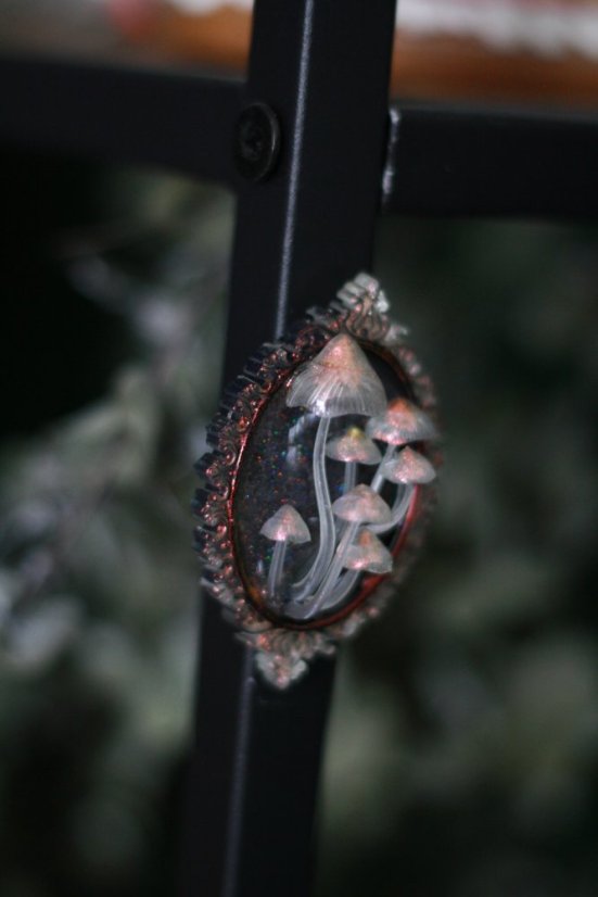 Magnet rámeček houbičky oranžové 3