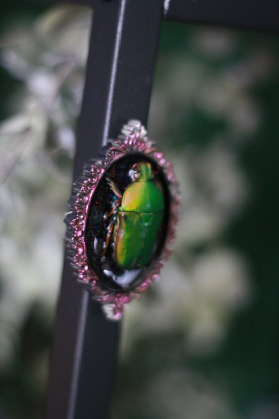 Magnet rámeček brouk