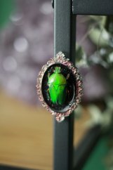 Magnet rámeček brouk