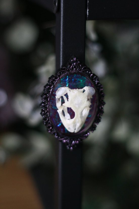 Magnet rámeček lebka gekon 3