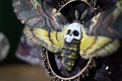 Smrtihlav v rámečku STL