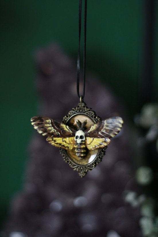 Lišaj smrtihlav medailon