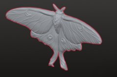 Martináč měsíčitý STL