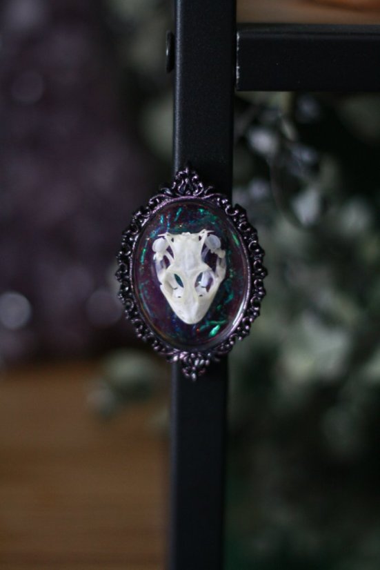 Magnet rámeček lebka gekon 1