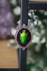 Magnet rámeček brouk