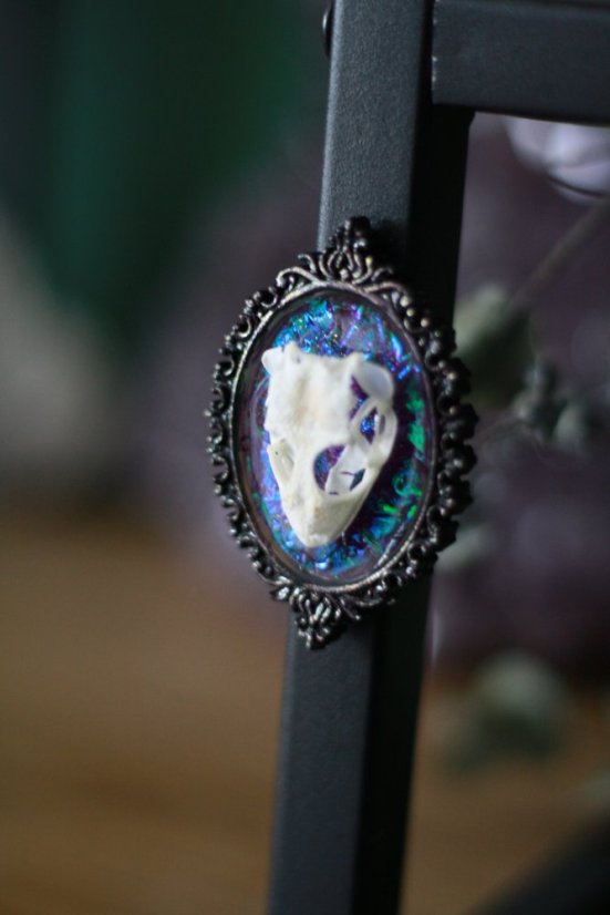 Magnet rámeček lebka gekon 3