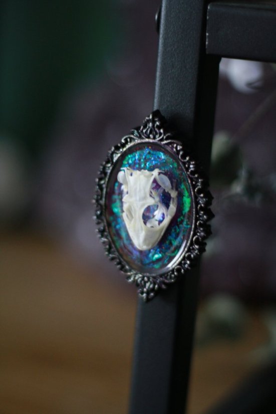 Magnet rámeček lebka gekon 1