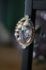 Magnet rámeček houbičky oranžové 2