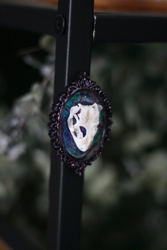 Magnet rámeček lebka gekon 2