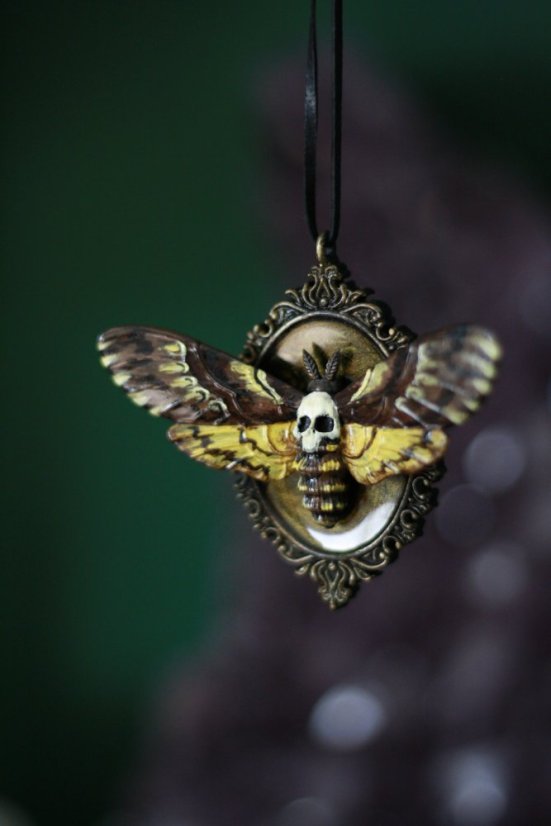 Lišaj smrtihlav medailon