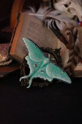 Martináč měsíčitý