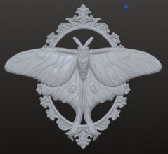 Martináč měsíčitý v rámečku STL