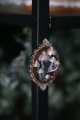 Magnet rámeček houbičky oranžové 2